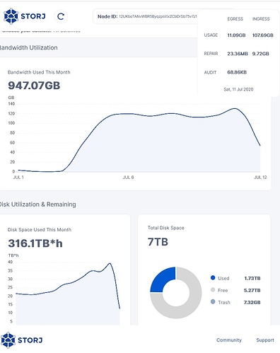 Storj11-07-2020